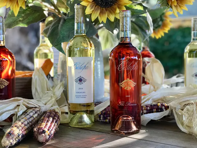 Calafia Verdelho and Rosé bottles on a table decorated with sunflowers and autumn corn