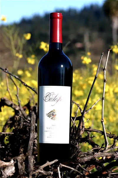 A bottle of Calafia Cabernet Sauvignon in a vineyard among mustard flowers